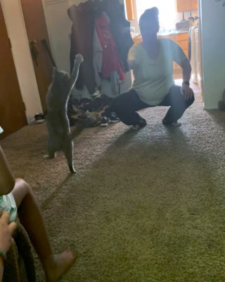 Illustration de l'article : 17 photos de chats qui nous épatent avec leurs talents de danseurs