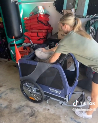 Illustration de l'article : Une maîtresse dévouée offre des balades inoubliables à son Labrador âgé et souffrant (vidéo)