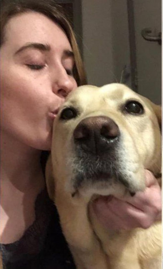 Illustration de l'article : Le retour émouvant d'une Labrador auprès de sa propriétaire aveugle suite à une longue convalescence