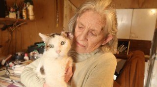 Illustration de l'article : Un chat disparaît pendant 3 ans et rentre chez lui comme si de rien n’était