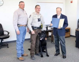 Illustration de l'article : Bear, le Berger Allemand policier, prend une retraite bien méritée après 6 ans de service