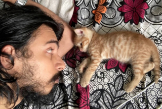 Illustration de l'article : 20 photos d'animaux qui ont découvert le pouvoir de l'amour en trouvant une famille pour toujours