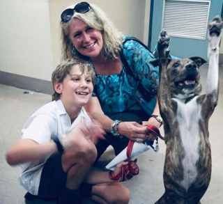 Illustration de l'article : 20 photos d'animaux qui ont découvert le pouvoir de l'amour en trouvant une famille pour toujours