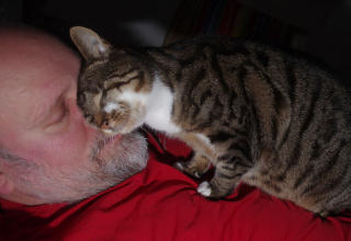 Illustration de l'article : En œuvrant pour le bonheur d'une chatte maltraitée et aveugle, ce couple a aussi guéri de sa propre tristesse