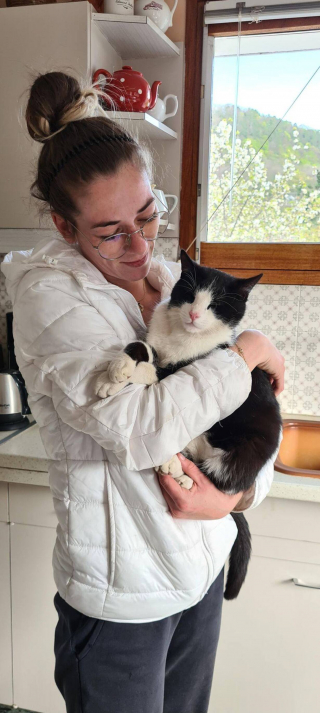 Illustration de l'article : Ruby, le chat alpiniste : sauvé pour la troisième fois en 5 mois par les pompiers