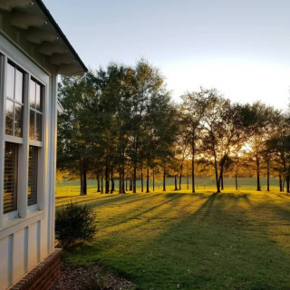 Illustration de l'article : Une maison d’hôte chaleureuse propose un concept inédit en alliant hospitalité et sauvetage animalier