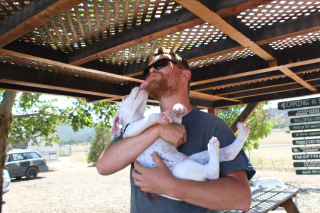 Illustration de l'article : Un chiot s’accroche à la vie après avoir été brûlé par un incendie ravageur