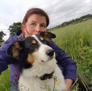 Illustration de l'article : Une chienne altruiste en pleine bataille contre le cancer remporte le prix du meilleur animal de compagnie de l’année