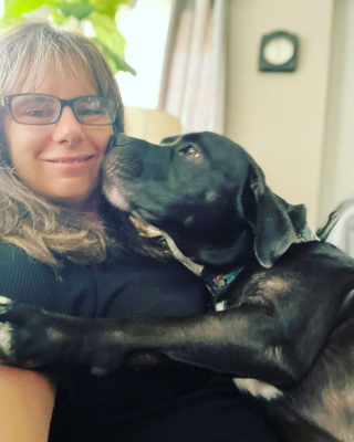 Illustration de l'article : Des frères et sœurs canins séparés depuis la naissance se retrouvent enfin grâce à un test ADN (vidéo)