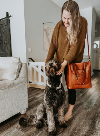 Illustration de l'article : Une chienne et sa sœur sont heureuses de se retrouver après 3 mois de séparation (vidéo)