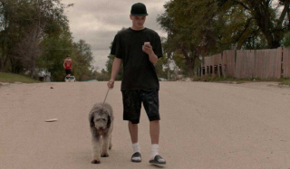 Illustration de l'article : Le meilleur acteur canin recevra prochainement la Palm Dog by Dogamí au 76e Festival de Cannes !