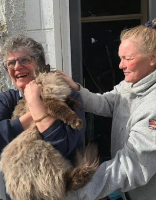 Illustration de l'article : Un chat est porté disparu après l'explosion de sa maison, sa maîtresse retourne sur les lieux du drame avec appréhension