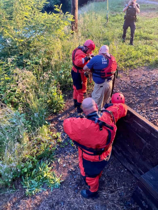 Illustration de l'article : Des personnes se mobilisent pour tenter de sauver un chien en détresse pris au piège dans un cours d'eau