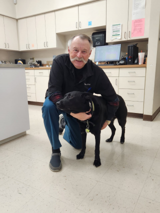 Illustration de l'article : L'histoire émouvante d'un chien traîné par une voiture qui a trouvé le bonheur dans les bras d'un vétérinaire dévoué