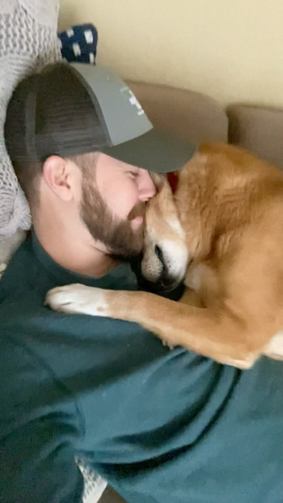 Illustration de l'article : Il fait une surprise à sa chienne en venant la voir sur sa pause déjeuner, et sa réaction est adorable (vidéo)