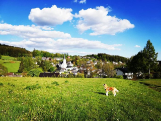 Illustration de l'article : 20 photos retraçant les randonnées mémorables d'Aiyuki, chien avide d'aventure et de grands espaces