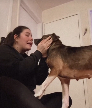 Illustration de l'article : Elle annonce &agrave; sa chienne qu&rsquo;elle l&rsquo;adopte d&eacute;finitivement, sa r&eacute;action fait fondre la toile (vid&eacute;o)