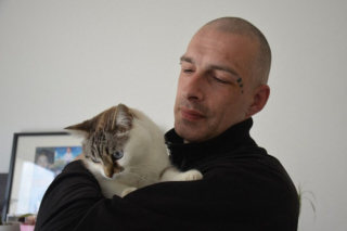 Illustration de l'article : Récupérée par une famille en Normandie, l’histoire de cette chatte a été dévoilée grâce à sa puce électronique