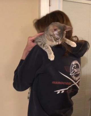 Illustration de l'article : Une chienne va désormais où elle veut après que son amie féline lui ait appris à ouvrir les portes (vidéo)