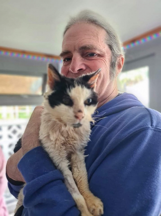 Illustration de l'article : Une chatte de 25 ans recherch&eacute;e par ses propri&eacute;taires a surv&eacute;cu 2 ans seule dans la rue