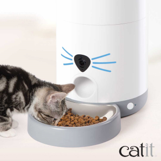 Illustration de l'article : 11 cadeaux de Noël à déposer sous le sapin pour gâter vos boules de poils