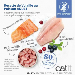 Illustration de l'article : 11 cadeaux de Noël à déposer sous le sapin pour gâter vos boules de poils