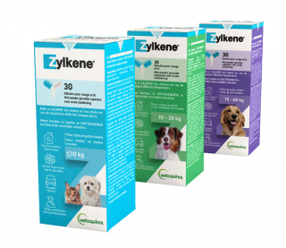 Illustration de l'article : 11 cadeaux de Noël à déposer sous le sapin pour gâter vos boules de poils