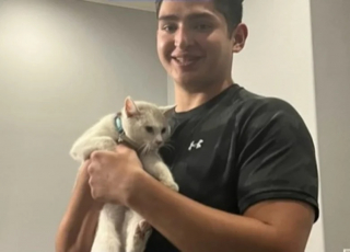 Illustration de l'article : Les internautes attendris par l’histoire d’un livreur adopté par une chatte errante lors d’une tournée (vidéo)