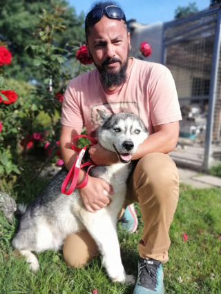 Illustration de l'article : Un an après avoir été sauvée d’une situation de grande maltraitance, cette chienne renoue avec une vie digne et stable