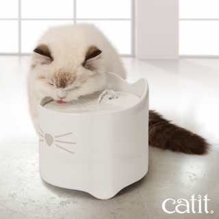 Illustration de l'article : Catit Pixi, la gamme d&rsquo;objets connect&eacute;s essentielle pour veiller au bien-&ecirc;tre des chats