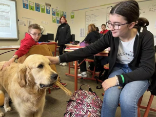 Illustration de l'article : Une chienne en guise d’assistante éducative, un projet « un peu loufoque »