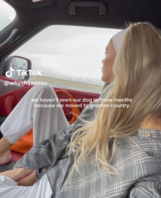 Illustration de l'article : Après 3 mois passés loin de ses humains, ce chien les retrouve à l’aéroport avec une vive émotion (vidéo)