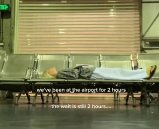 Illustration de l'article : Après 3 mois passés loin de ses humains, ce chien les retrouve à l’aéroport avec une vive émotion (vidéo)