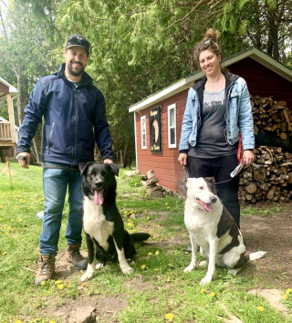 Illustration de l'article : Ils abandonnent leur chien et laissent une note autour de son cou qui scandalise la propri&eacute;taire d&rsquo;une pension canine