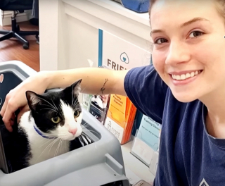 Illustration de l'article : Jugé « trop affectueux » par son ancienne maîtresse, ce chat a trouvé du réconfort auprès des internautes