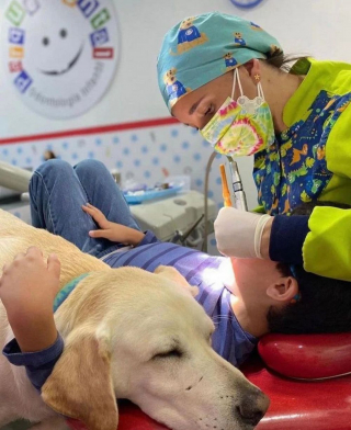 Illustration de l'article : Grâce à Aldo, un chien d’assistance dentaire, les enfants n’ont plus peur d’aller chez le dentiste