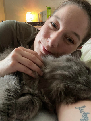 Illustration de l'article : Les retrouvailles d’une femme et de son chat, disparu 3 ans plus tôt lors d’un déménagement