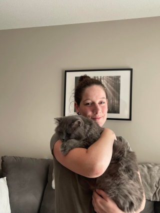 Illustration de l'article : Les retrouvailles d’une femme et de son chat, disparu 3 ans plus tôt lors d’un déménagement