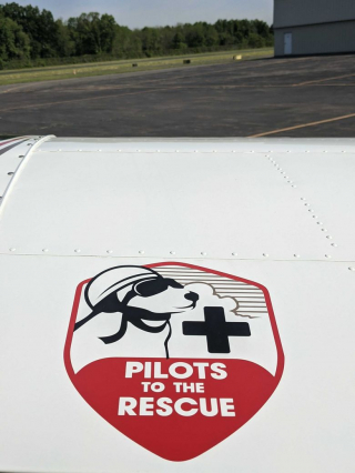 Illustration de l'article : Grâce au soutien d’un pilote dévoué, 51 chats risquant l’euthanasie se sont envolés vers de nouveaux refuges 