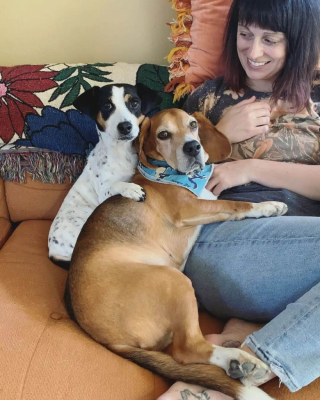 Illustration de l'article : Une chienne découverte abandonnée dans son jardin, des mois après le décès de son propriétaire (vidéo)