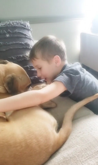 Illustration de l'article : Un garçon de 7 ans économise de l’argent pour adopter un chien maltraité par ses anciens propriétaires (vidéo)