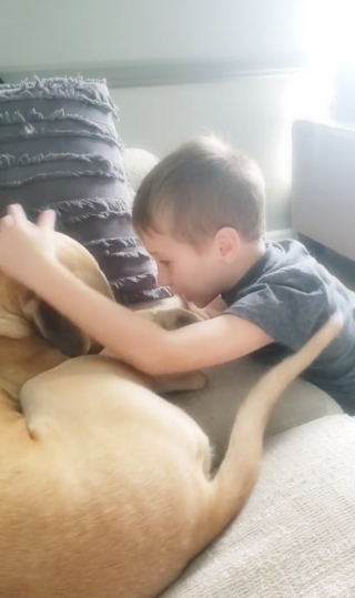 Illustration de l'article : Un garçon de 7 ans économise de l’argent pour adopter un chien maltraité par ses anciens propriétaires (vidéo)