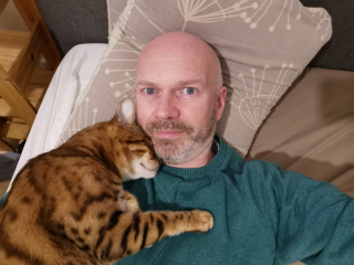 Illustration de l'article : Un chat retrouvé enfermé dans une salle de bain en travaux à l’intérieur d’une maison voisine