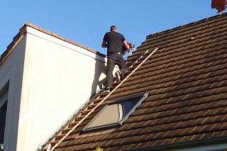 Illustration de l'article : L'odyssée d'un chat sauvage coincé sur un toit et l'intervention qui lui sauve la vie