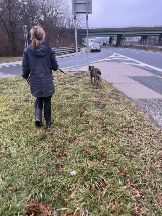 Illustration de l'article : Une femme n’a pas hésité à plonger dans un égout pour sauver la vie de son chat