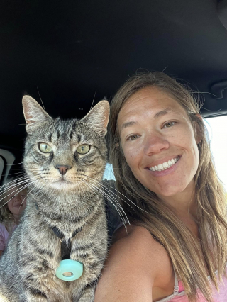 Illustration de l'article : Une femme n’a pas hésité à plonger dans un égout pour sauver la vie de son chat