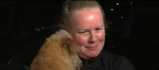 Illustration de l'article : Une femme se fait voler son chien pendant qu’il est baladé par un promeneur canin