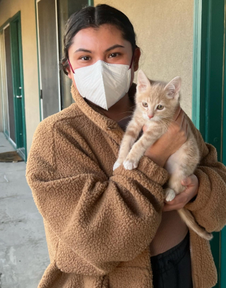 Illustration de l'article : Ce chaton rescap&eacute; a compris qu&rsquo;il pouvait d&eacute;sormais manger &agrave; sa faim, et bien plus encore ! 