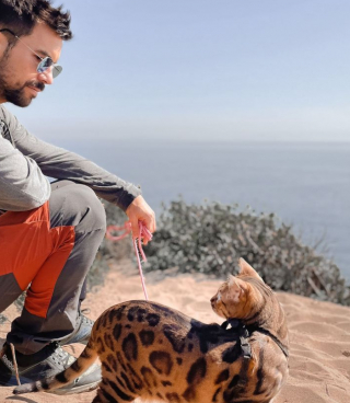 Ce Bengal voyage à travers le monde entier depuis que son maître lui a ...