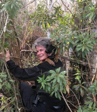 Illustration de l'article : Des sauveteurs doivent agir vite pour sauver un chien coincé dans un marécage grouillant d’alligators